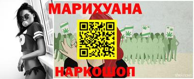 гашик Гусь-Хрустальный