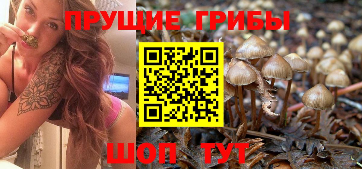Галлюциногенные грибы прущие грибы Минусинск