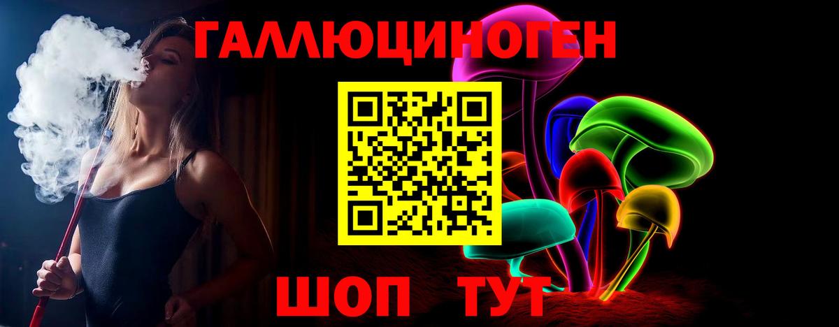 Минусинск  Псилоцибиновые грибы прущие грибы  Вход с VPN 
